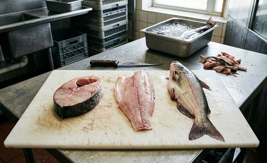 Image showing catfish cut comparison